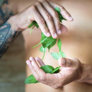  Sprchový gél 3 v 1 pre mužov Energy of mint fľaša 500 ml