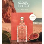 Acqua Colonia Fig & Vetiver kolínska voda unisex 100 ml