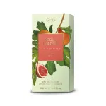 Acqua Colonia Fig & Vetiver kolínska voda unisex 100 ml
