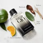Acqua di Giò plniteľná parfumovaná voda pre mužov 100 ml
