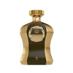 Highness X parfumovaná voda pre mužov 100 ml