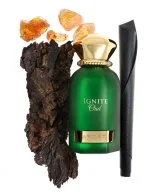 Ignite Oud U parfumovaná voda 60 ml