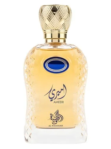 Ameeri U parfumovaná voda 100 ml