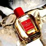 Ambassadora For Women parfumovaná voda pre ženy 100 ml