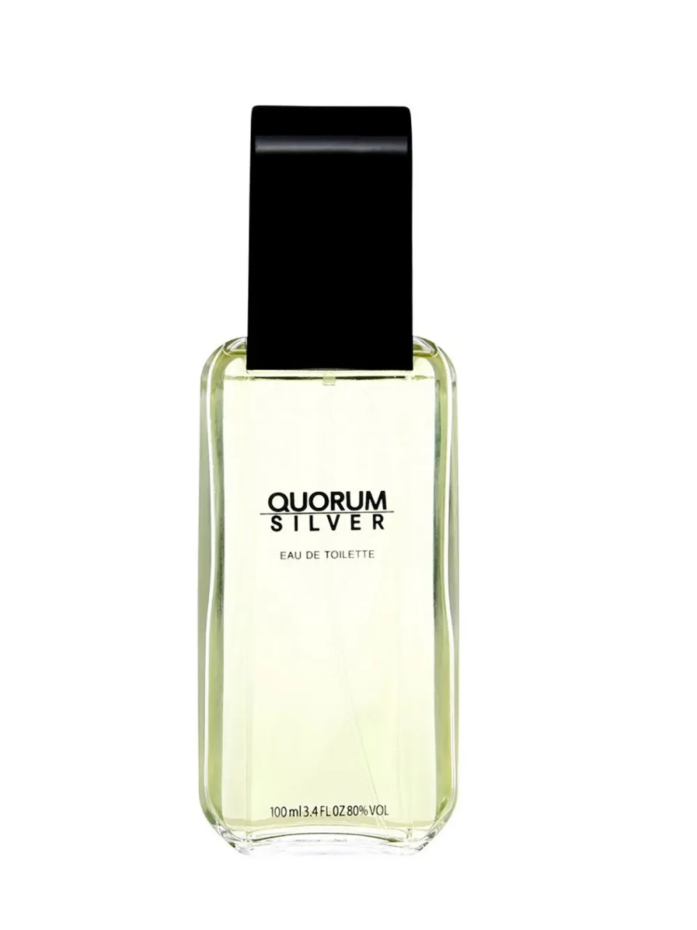 Quorum Silver toaletná voda 100 ml pre mužov