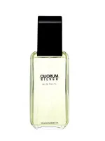 Quorum Silver toaletná voda 100 ml pre mužov