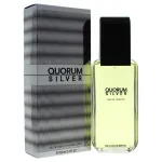 Quorum Silver toaletná voda 100 ml pre mužov