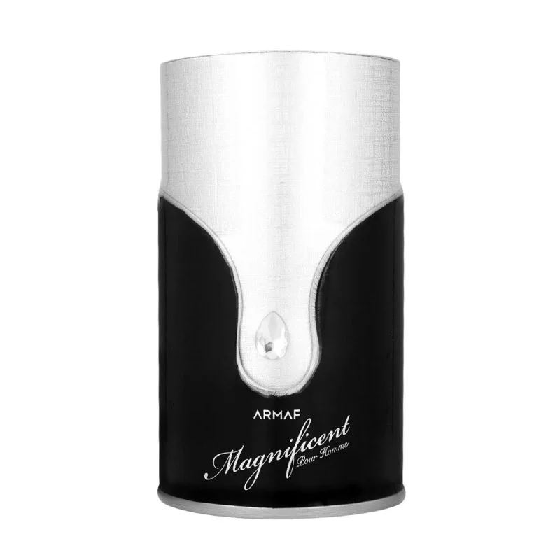 Armaf Magnificent Pour Homme parfumovaná voda pre mužov