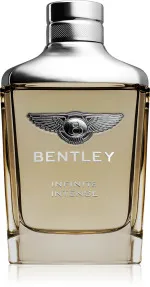 Infinite Intense parfumovaná voda pre mužov 100 ml