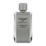 Momentum Intense parfumovaná voda pre mužov 100 ml