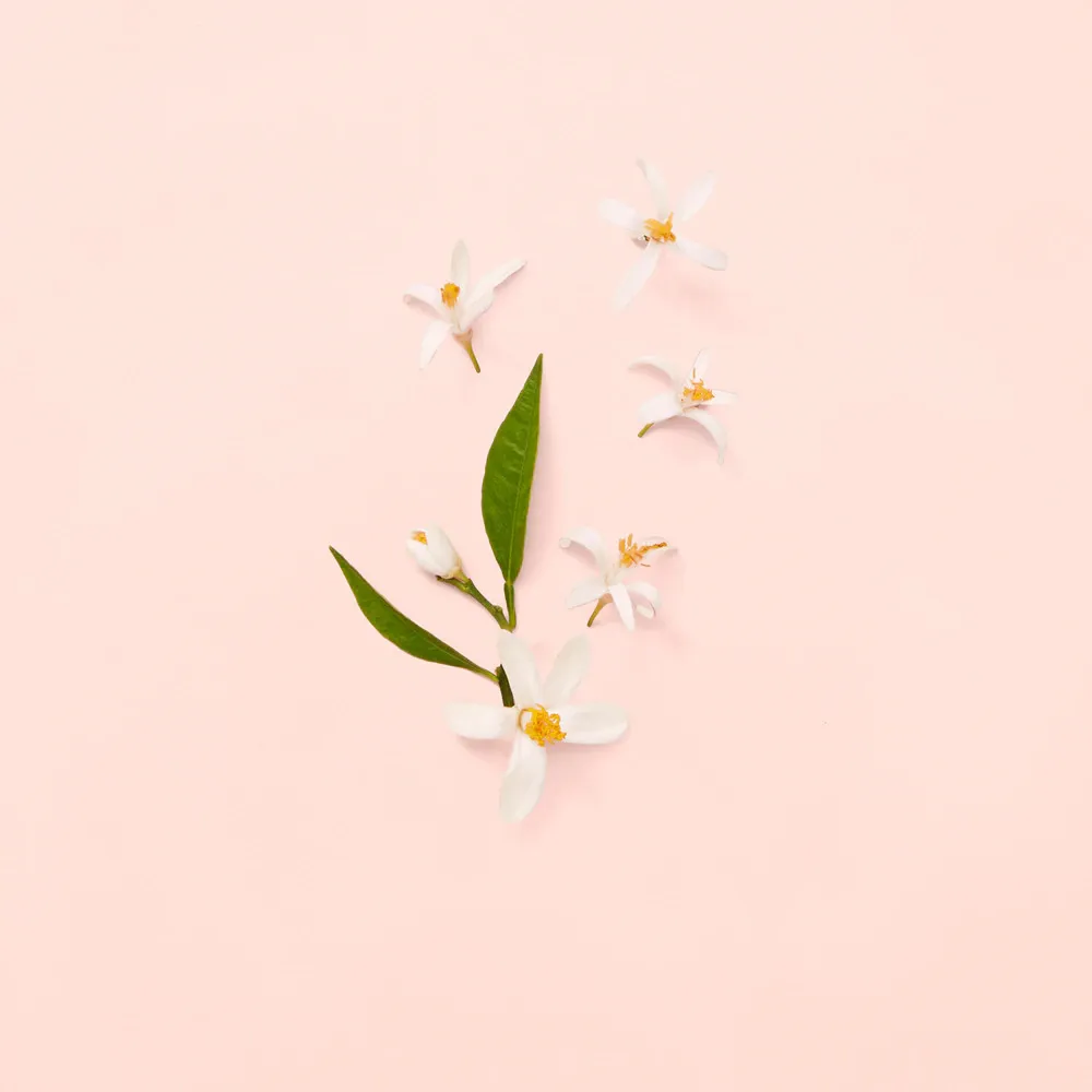 Bloom toaletná voda pre ženy 100 ml