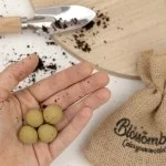 Blossombs Semienkové bomby - Darčeková sada mini - Bylinková záhradka (4 ks) - originálny a praktický darček v jednom