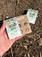Blossombs Semienkové bomby - Darčeková sada mini - Za všetko na tisíckrát ďakujem (4 ks) - darujte kvetinu inak