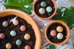 Blossombs Semienkové bomby - Darčeková sada mini - Za všetko na tisíckrát ďakujem (4 ks) - darujte kvetinu inak