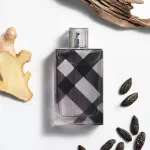 Brit For Men toaletná voda pre mužov 100 ml
