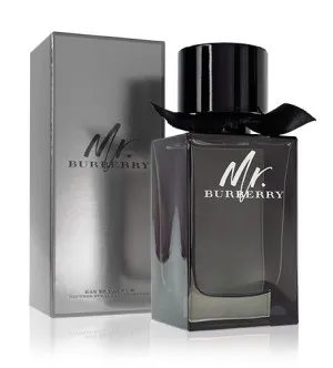 Burberry Mr. Burberry parfumovaná voda pre mužov 100 ml