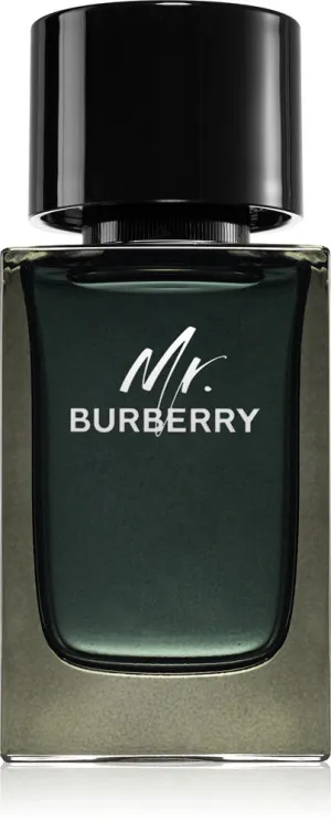 Burberry Mr. Burberry parfumovaná voda pre mužov 100 ml