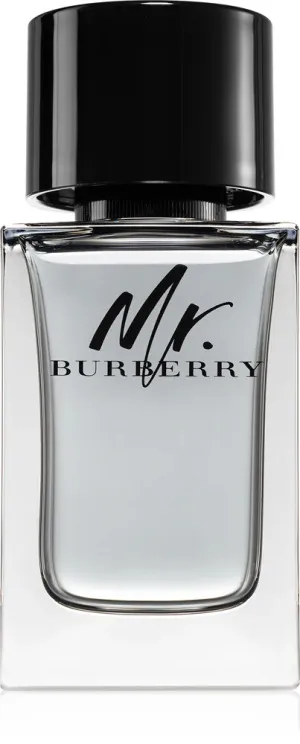 Burberry Mr. Burberry toaletná voda pre mužov 100 ml