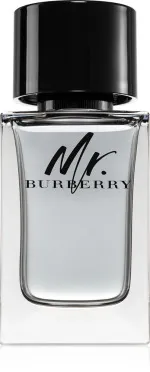 Mr. Burberry toaletná voda pre mužov 100 ml