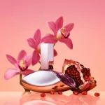Euphoria parfumovaná voda pre ženy 50 ml