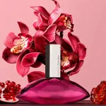 Euphoria parfumovaná voda pre ženy 50 ml
