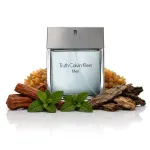 Truth For Men toaletná voda 100 ml pre mužov