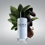 Bad Boy toaletná voda pre mužov 100 ml