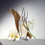 Cashmere Mist toaletná voda pre ženy 100 ml