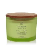 Awaken + Invigorate vonná sviečka s 3 knôtmi 312 g