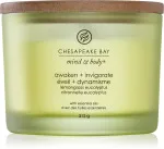 Awaken + Invigorate vonná sviečka s 3 knôtmi 312 g