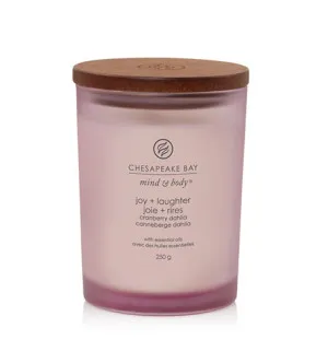 Chesapeake Bay Joy + Laughter vonná sviečka 250 g