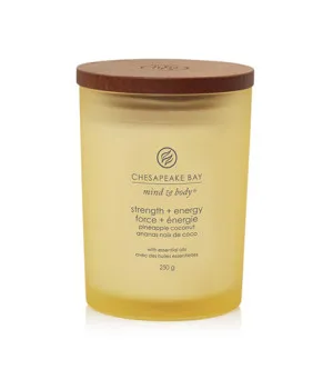 Chesapeake Bay Strength + Energy vonná sviečka 250 g