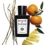 Colonia Essenza kolínska voda pre mužov 180 ml