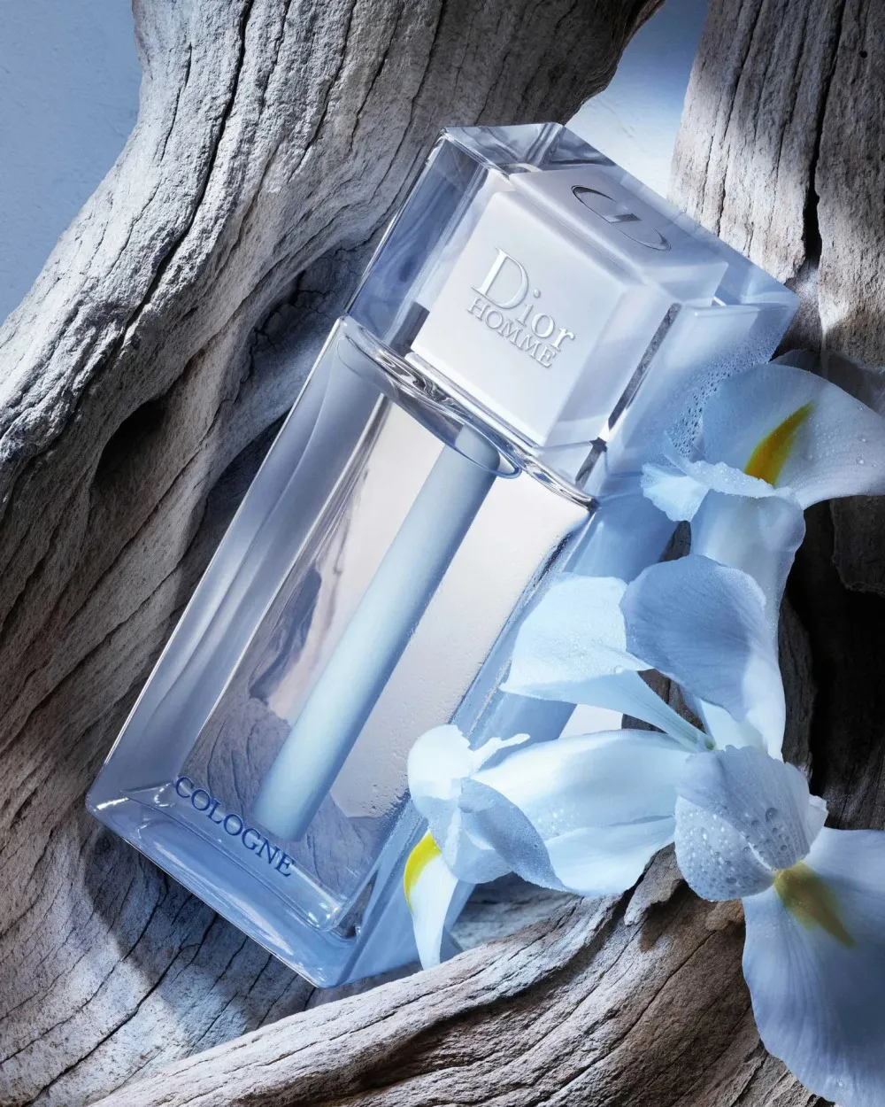 Homme Cologne 2013 kolínska voda pre mužov 75 ml