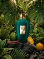 Voux Alma Verde parfumovaná voda unisex 100 ml