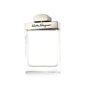 Salvatore Ferragamo Salvatore Ferragamo Pour Homme toaletná voda pre mužov
