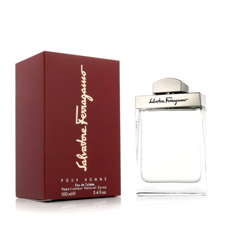 Salvatore Ferragamo Pour Homme toaletná voda pre mužov