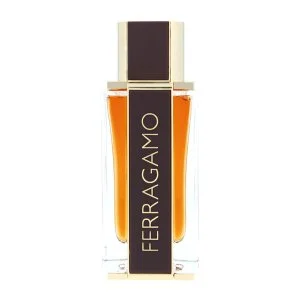 Salvatore Ferragamo Spicy Leather parfumovaná voda pre mužov