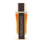 Spicy Leather parfumovaná voda pre mužov 100 ml