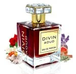 Divin Aoud parfumovaná voda unisex 100 ml
