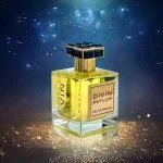 Divin Asylum parfumovaná voda unisex 100 ml