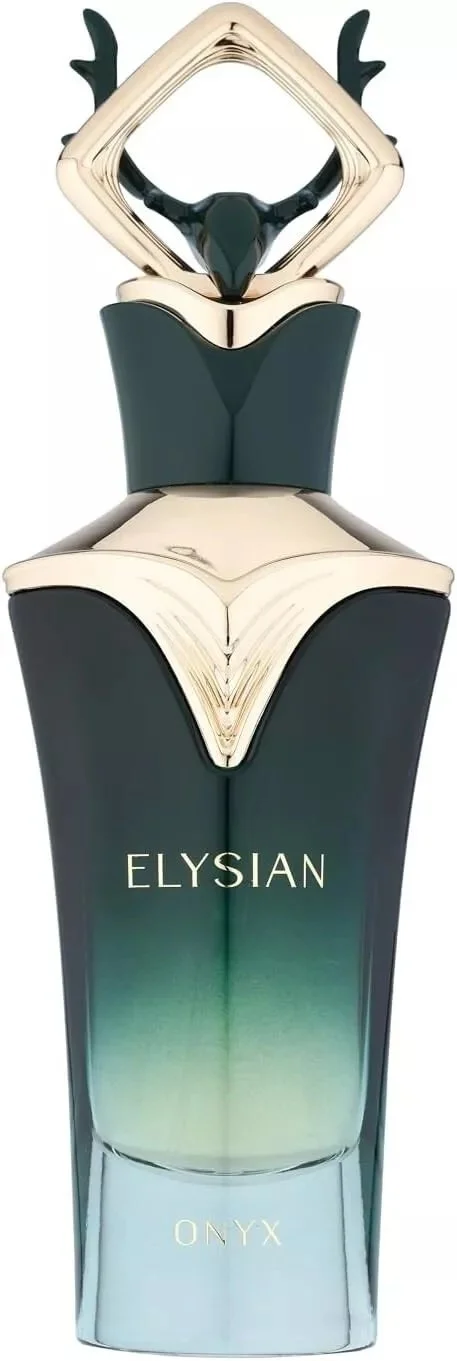Elysian Onyx M parfumovaná voda 100 ml