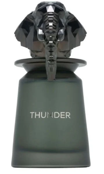 Thunder U parfumovaná voda 100 ml