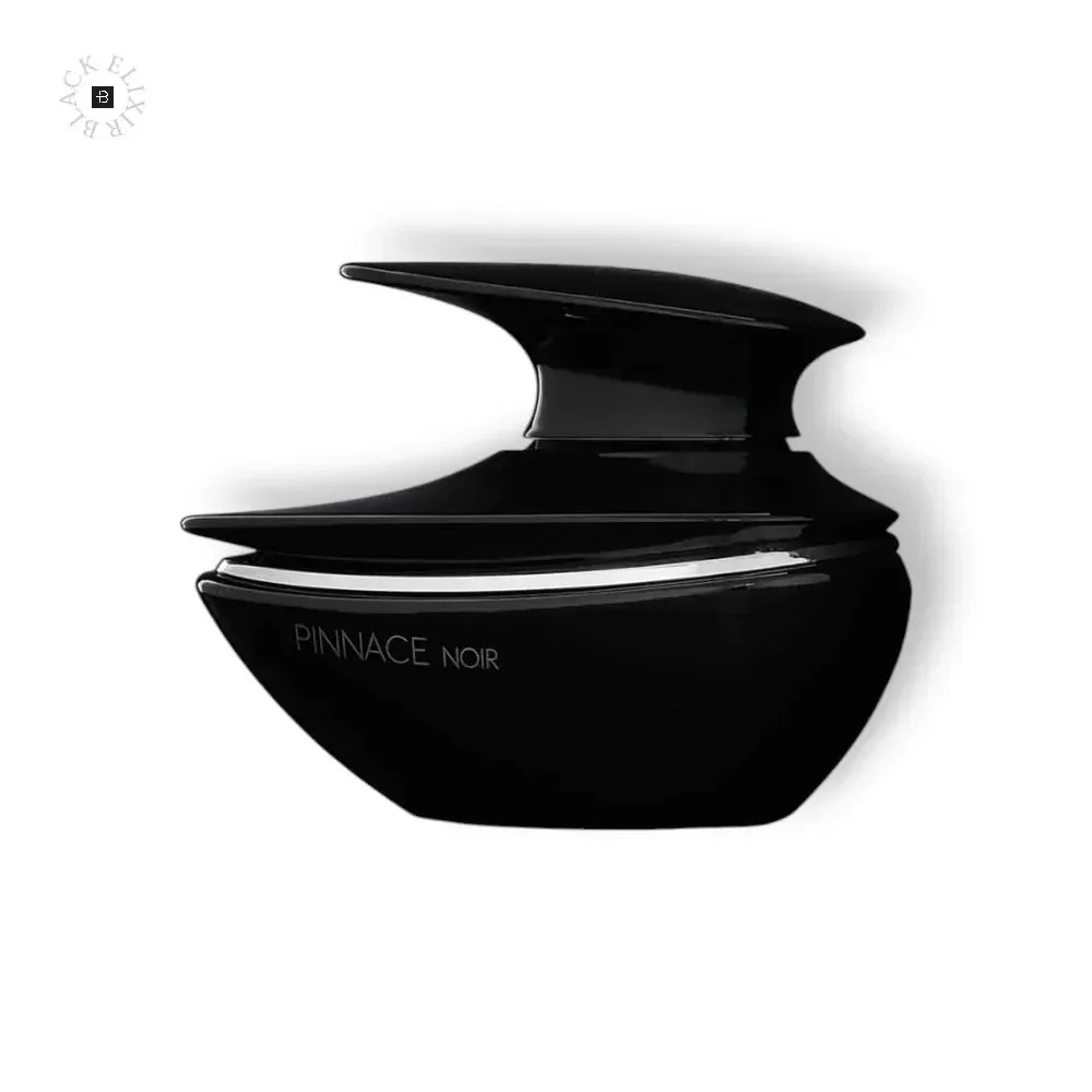 Pinnace Noir parfumovaná voda pre mužov 100 ml