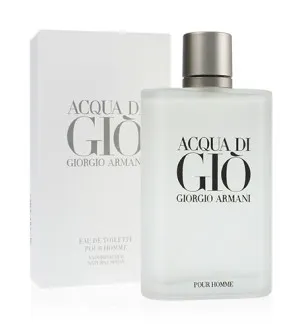 Giorgio Armani Acqua di Gio Pour Homme toaletná voda pre mužov 100 ml