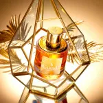 Ambassador For Women parfumovaná voda pre ženy 50 ml