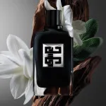 Gentleman Society parfumovaná voda pre mužov 100 ml
