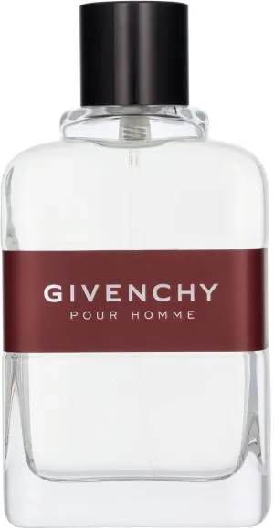 Givenchy Pour Homme toaletná voda pre mužov 100 ml