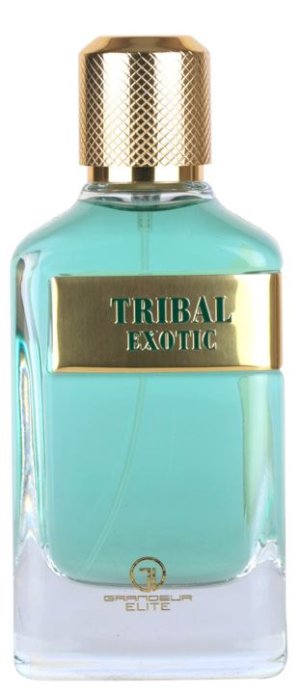 Tribal Exotic M 100 parfumovaná voda