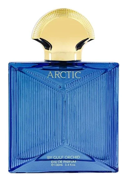 Arctic U parfumovaná voda 100 ml